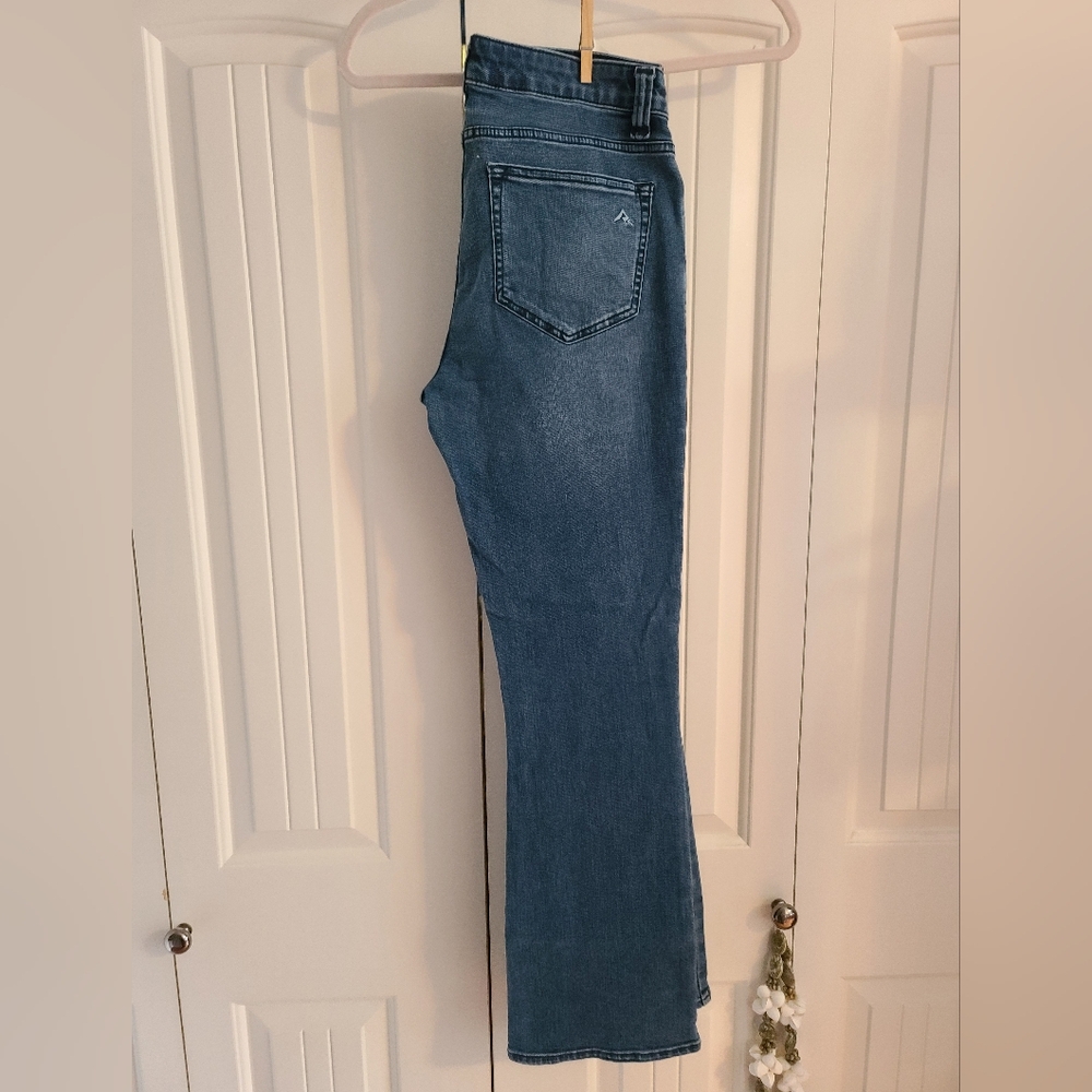 Ridgecut jeans size 10